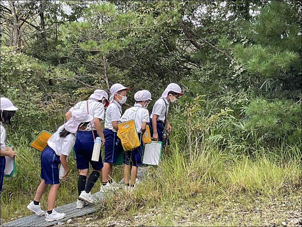 3年生　大森奥山湿地群見学