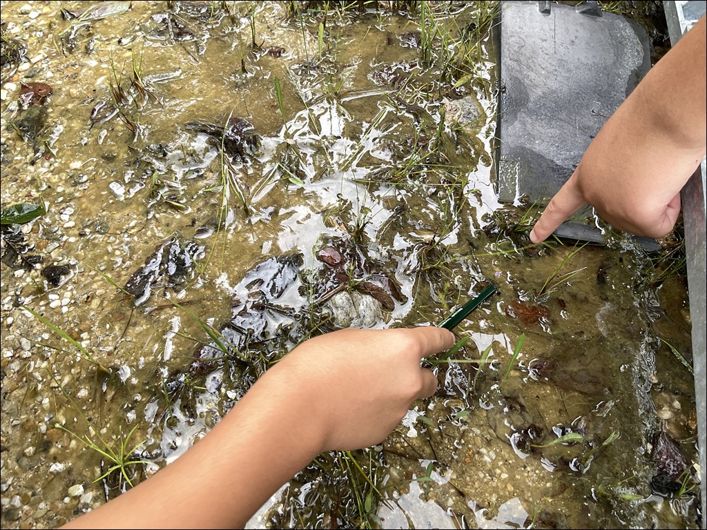 3年生　大森奥山湿地群見学