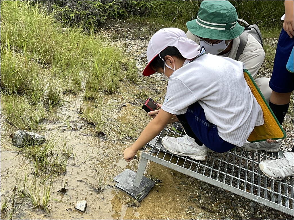 3年生　大森奥山湿地群見学