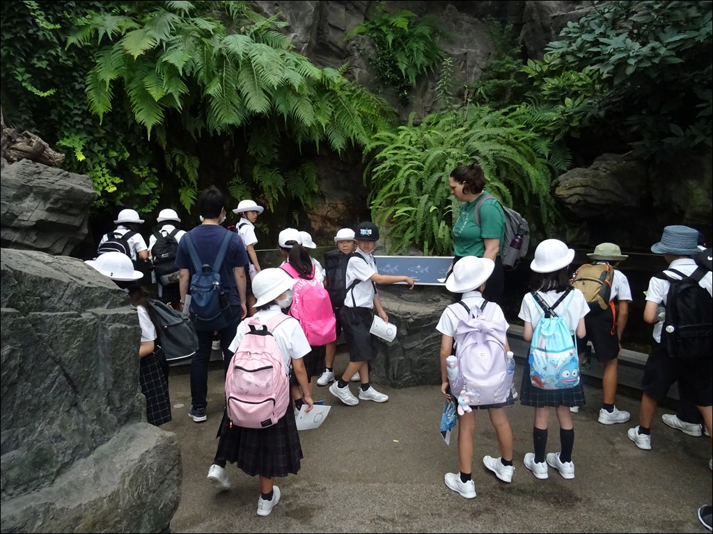 国内短期留学(English Camp in YOLO BASE)3