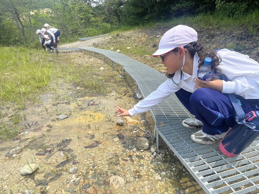 大森奥山湿地群に行ってきました!