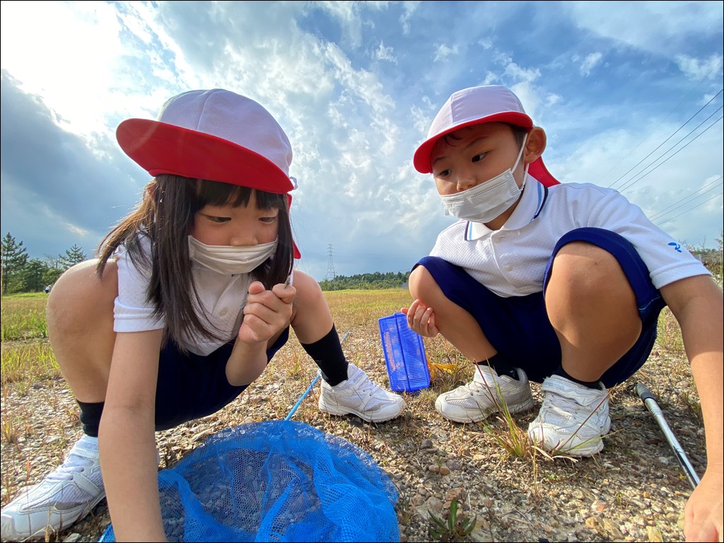 1年生 生活科「あきみつけ」