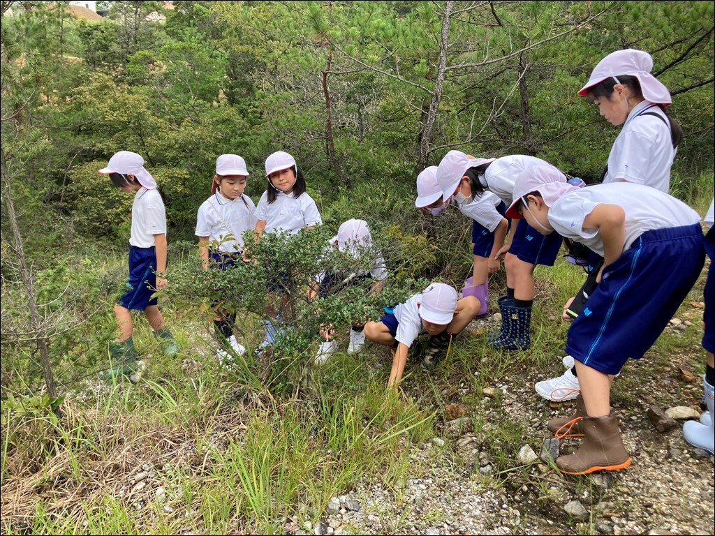 3年生　大森湿地見学