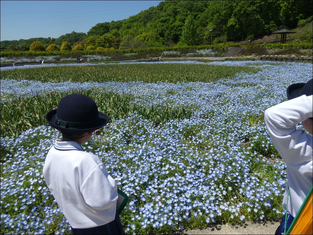 1年生遠足「岐阜ワールドローズガーデン」