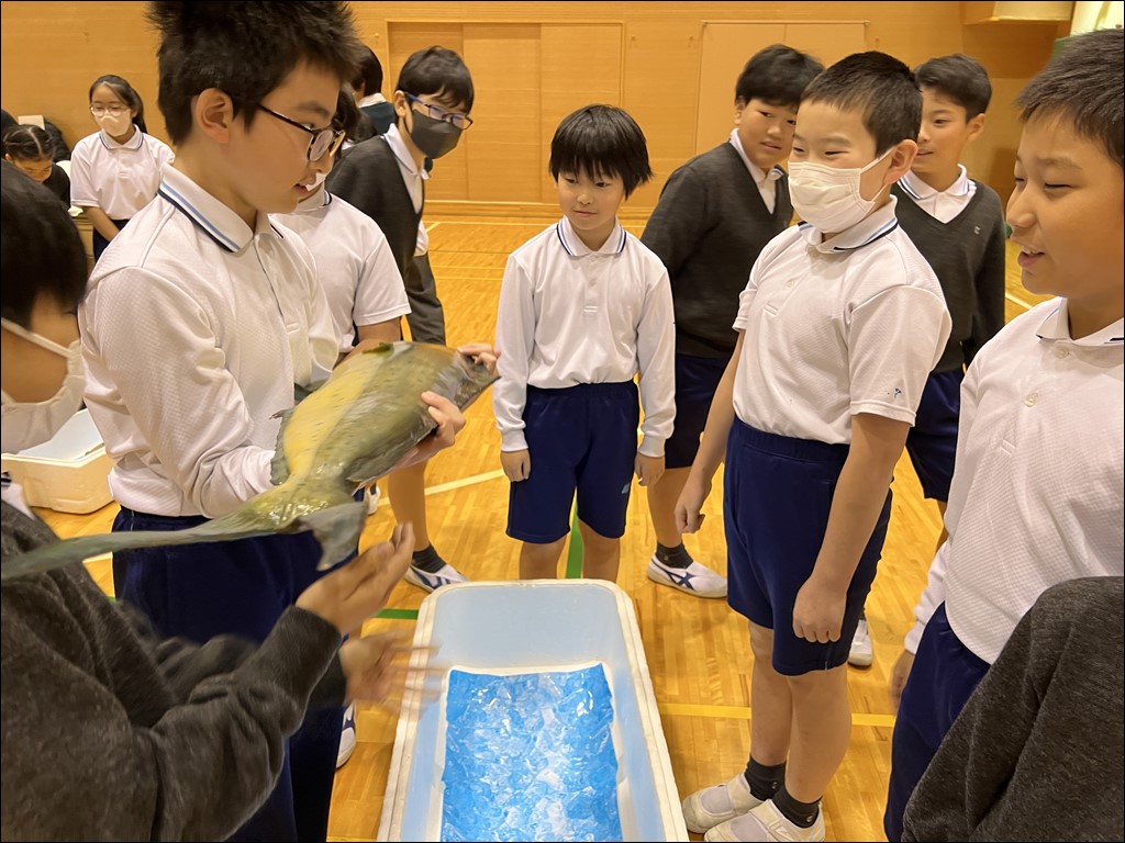 5・6年生 お寿司で学ぶSDGs くら寿司出張授業