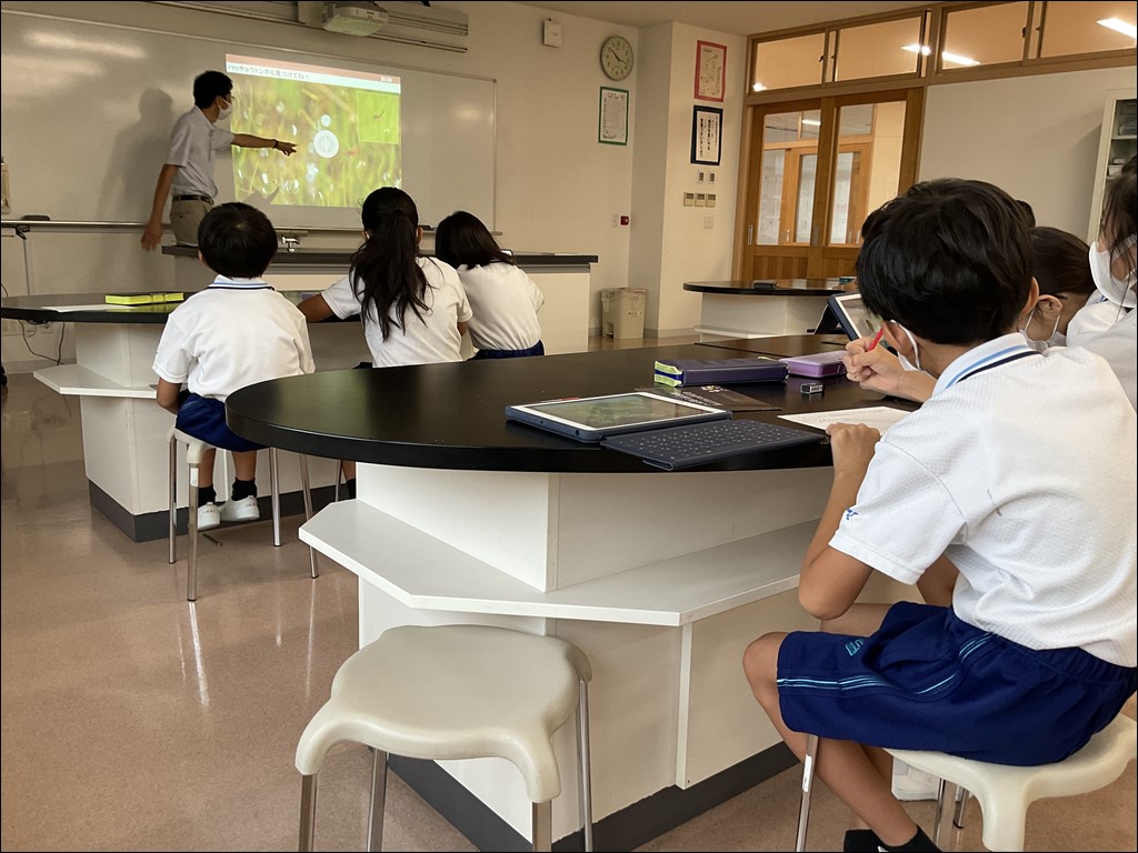 3年生　大森奥山湿地群勉強会